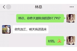 汉源为什么选择专业追讨公司来处理您的债务纠纷？